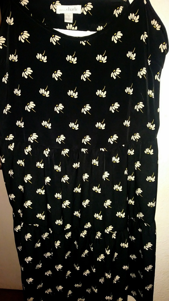 Charming Charlie Sundress